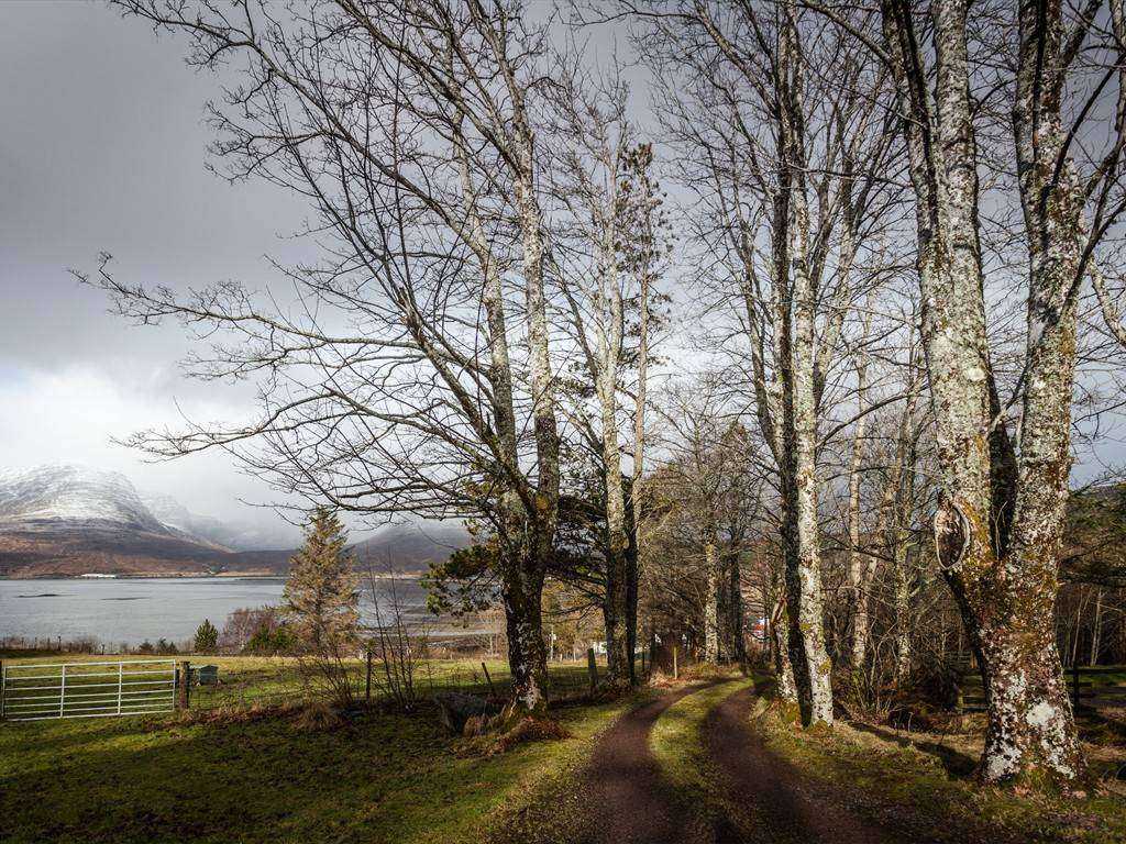 view from chalets